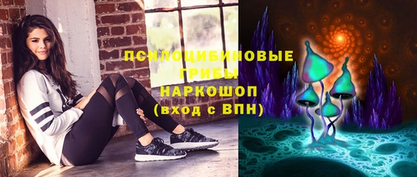 a pvp Дмитровск