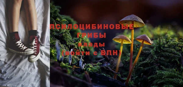 кокаин Дмитриев
