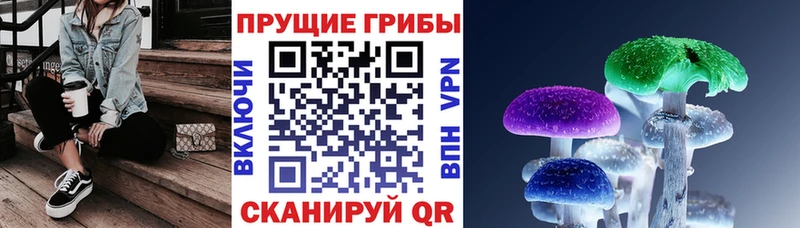 Купить где  Неман  Псилоцибиновые грибы прущие грибы 